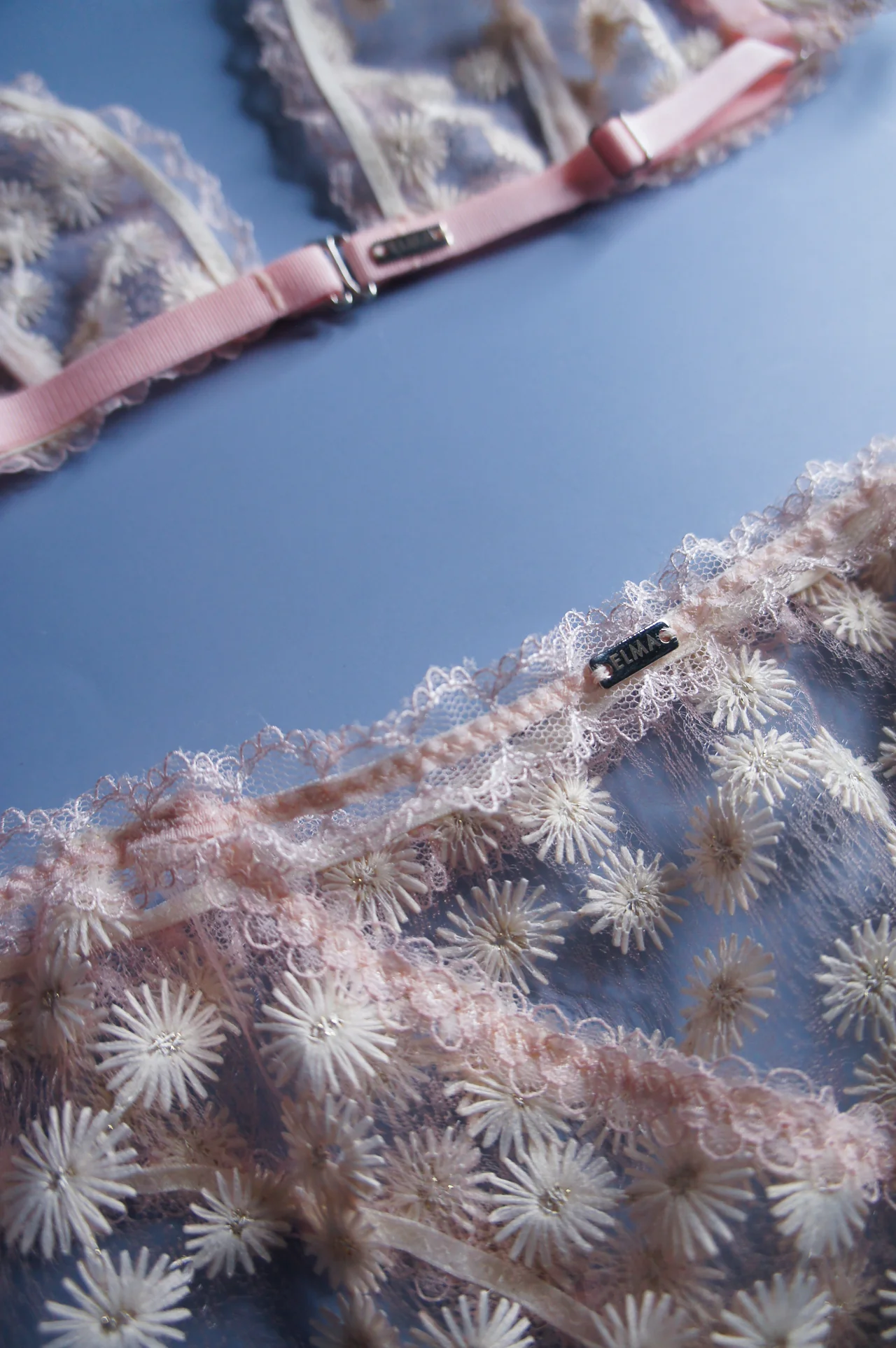 Dandelion Blush Pink Brief - Image 3